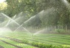 Tarneitlandscaping-water-management-and-drainage-17.jpg; ?>